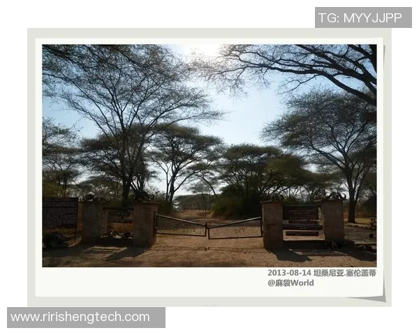 肯尼亚与坦桑尼亚的足球对决：历史战绩与未来展望