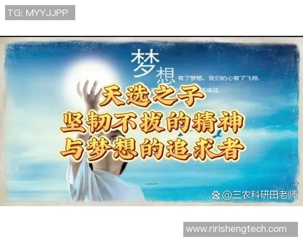 史鸿飞的传奇人生与不屈奋斗精神的启示与反思